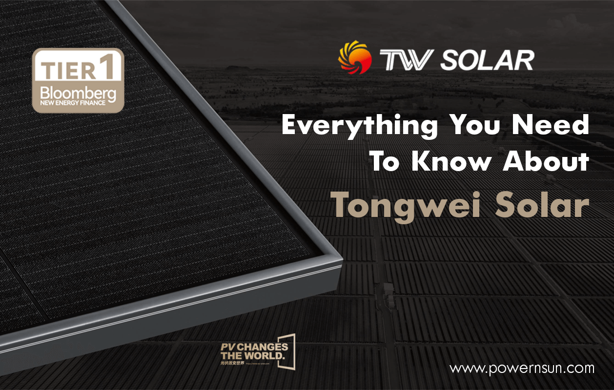 Everything You Need To Know About Tongwei Solar